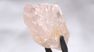Uncut, light pink gemstone held by tweezers.